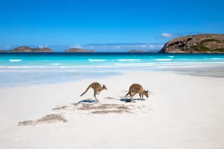 Lucky bay, Western Australia