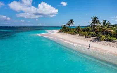 Aerial view a woman walking along the waters of Shoal Bay Beach with crashing waves and palm trees on the island of Anguilla.