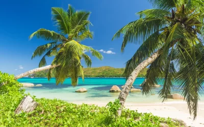 Beautiful beach Anse Boudin seen from under the coconut palm, Praslin island, Seychelles.