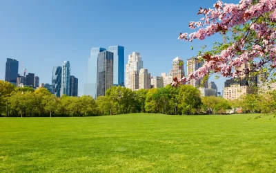 Central park at spring sunny day, New York City