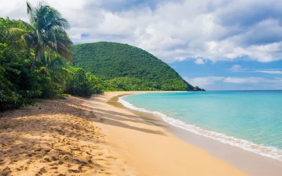 Grande spiaggia di Grand Anse vicino villaggio di Deshaies, Guadalupa, Caraibi