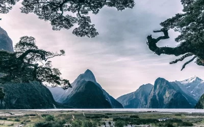 Milford sound, spectacular landscape in the Fjordland area of New Zeland, south island