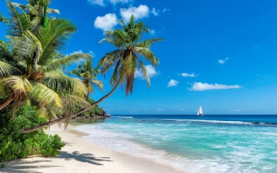 Paradise sandy beach with palm trees and a sailing boat in the turquoise sea on Paradise island.