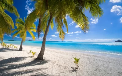 Tropical beach in Aitutaki Lagoon