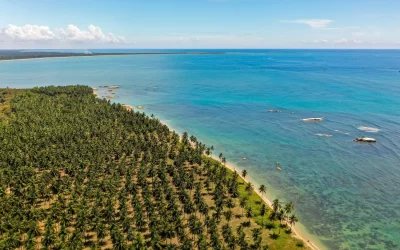 Vista aerea della spiaggia, dell'oceano limpido e delle palme a Pasikuda, Sri Lanka