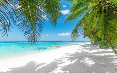 Wooden boat and palm trees in Anse Forbans beach. Mahe island, Seychelles