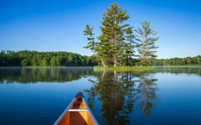 blue lake with and island and pine trees on a summer morning in northern Minnesota