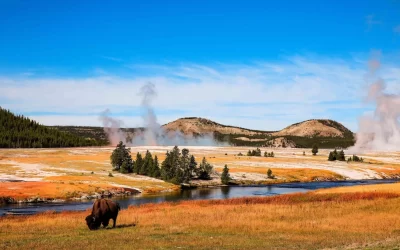 wyoming landscape view